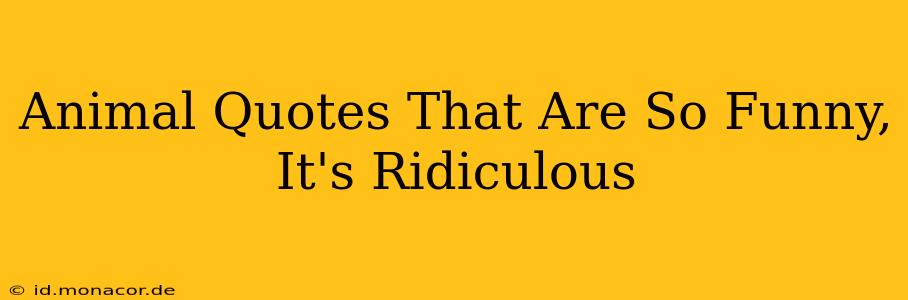 Animal Quotes That Are So Funny, It's Ridiculous