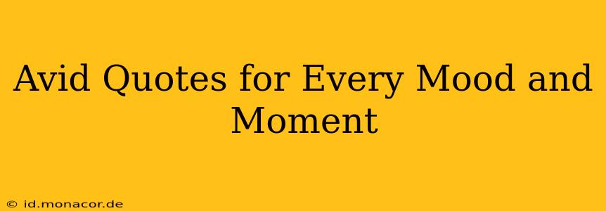 Avid Quotes for Every Mood and Moment