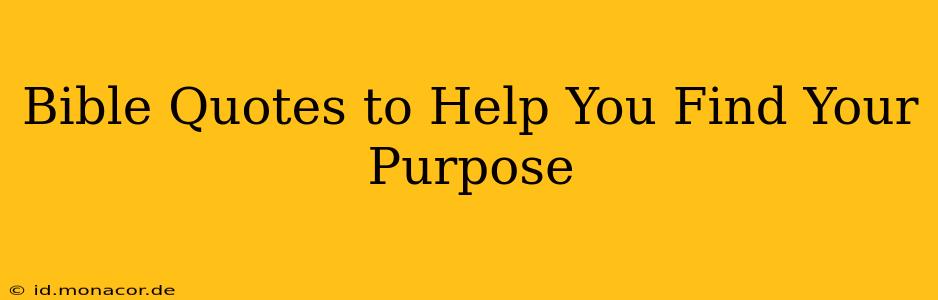 Bible Quotes to Help You Find Your Purpose