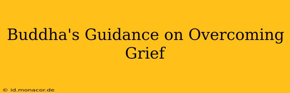 Buddha's Guidance on Overcoming Grief
