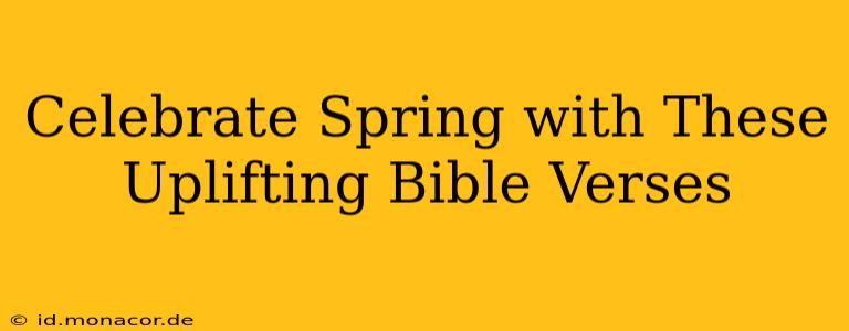 Celebrate Spring with These Uplifting Bible Verses