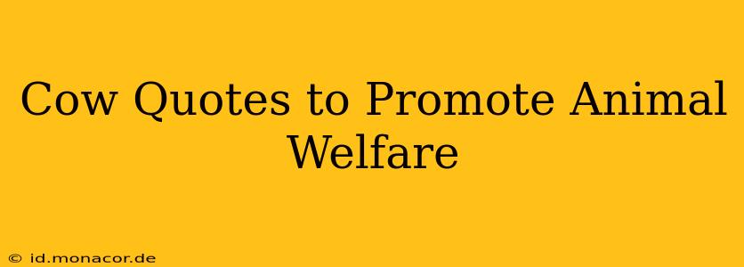 Cow Quotes to Promote Animal Welfare