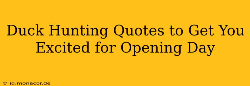 Duck Hunting Quotes to Get You Excited for Opening Day