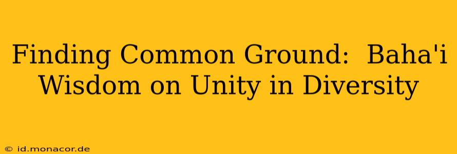 Finding Common Ground:  Baha'i Wisdom on Unity in Diversity
