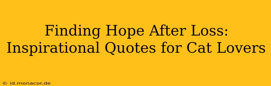 Finding Hope After Loss: Inspirational Quotes for Cat Lovers