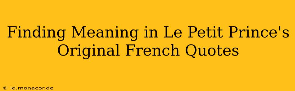 Finding Meaning in Le Petit Prince's Original French Quotes