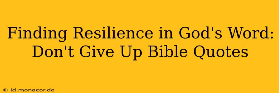 Finding Resilience in God's Word: Don't Give Up Bible Quotes