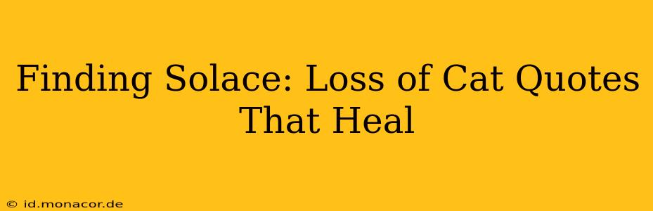 Finding Solace: Loss of Cat Quotes That Heal