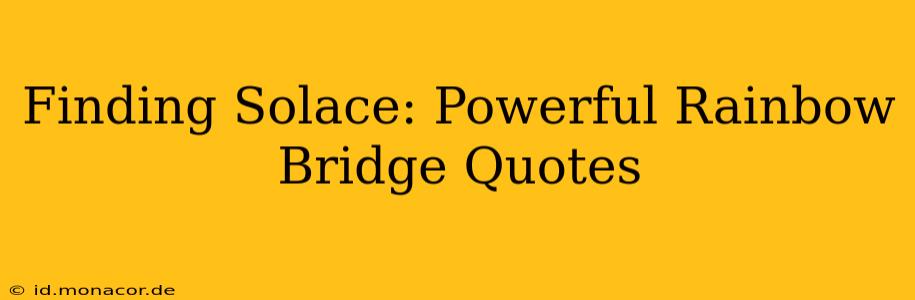 Finding Solace: Powerful Rainbow Bridge Quotes