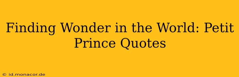 Finding Wonder in the World: Petit Prince Quotes