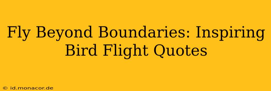 Fly Beyond Boundaries: Inspiring Bird Flight Quotes