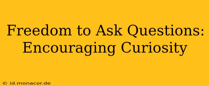 Freedom to Ask Questions: Encouraging Curiosity