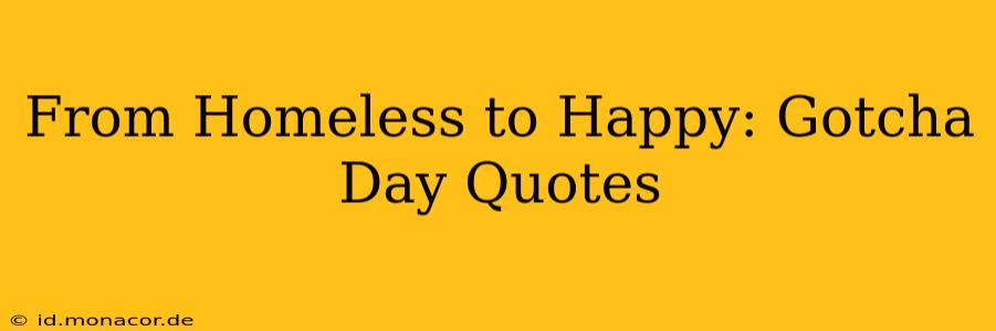From Homeless to Happy: Gotcha Day Quotes