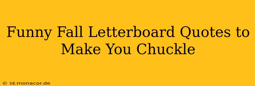 Funny Fall Letterboard Quotes to Make You Chuckle