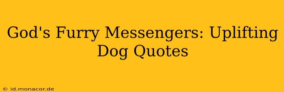 God's Furry Messengers: Uplifting Dog Quotes