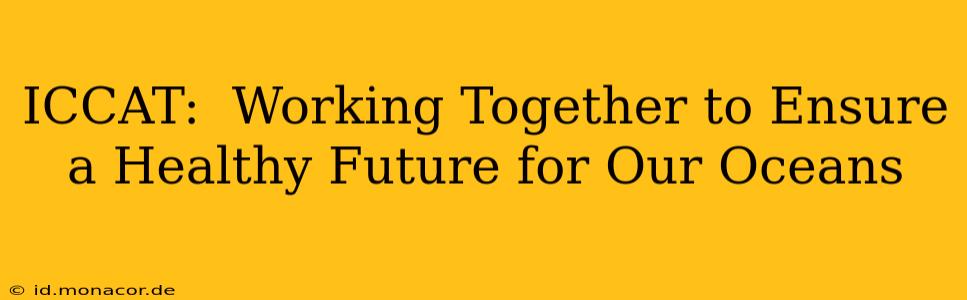 ICCAT:  Working Together to Ensure a Healthy Future for Our Oceans