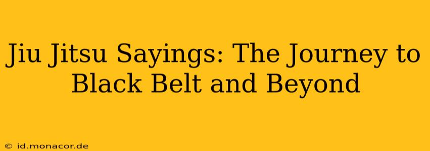 Jiu Jitsu Sayings: The Journey to Black Belt and Beyond