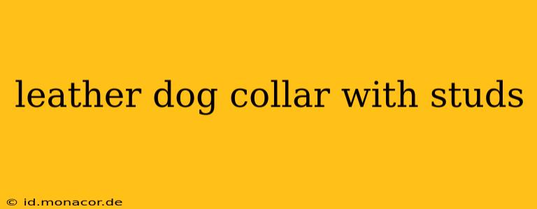 leather dog collar with studs
