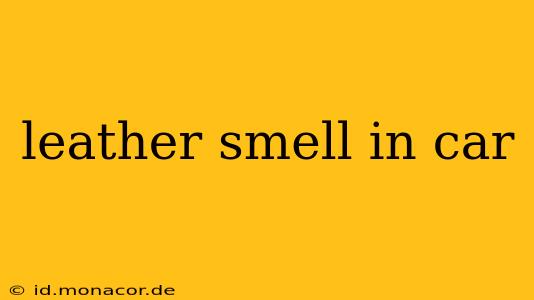 leather smell in car
