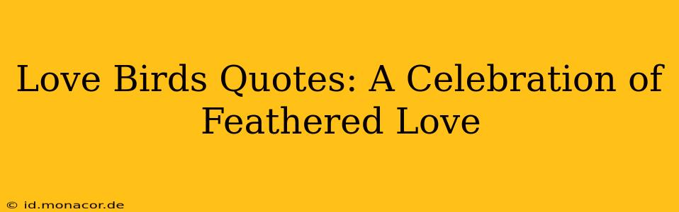 Love Birds Quotes: A Celebration of Feathered Love