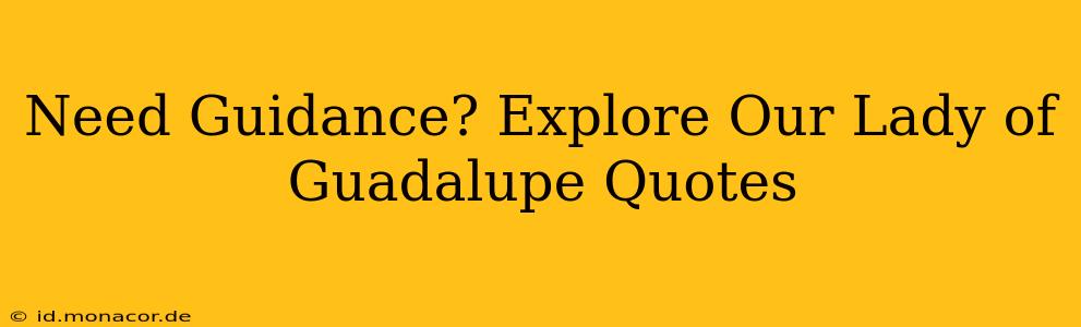 Need Guidance? Explore Our Lady of Guadalupe Quotes