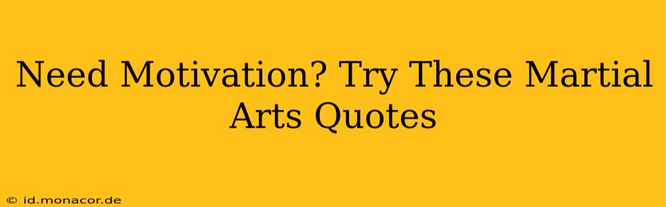 Need Motivation? Try These Martial Arts Quotes