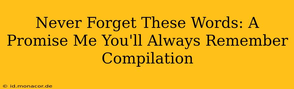 Never Forget These Words: A Promise Me You'll Always Remember Compilation