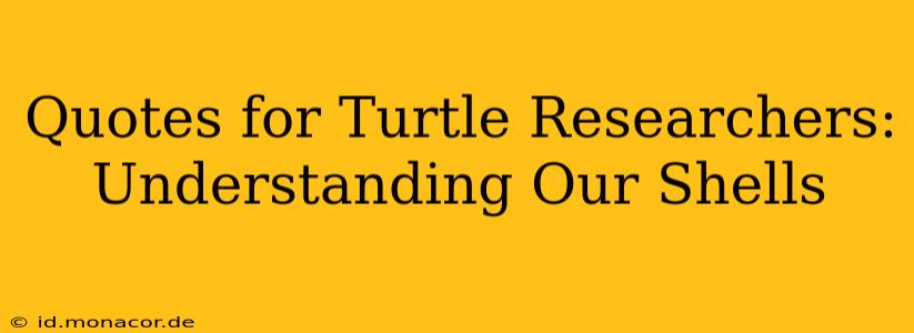 Quotes for Turtle Researchers: Understanding Our Shells