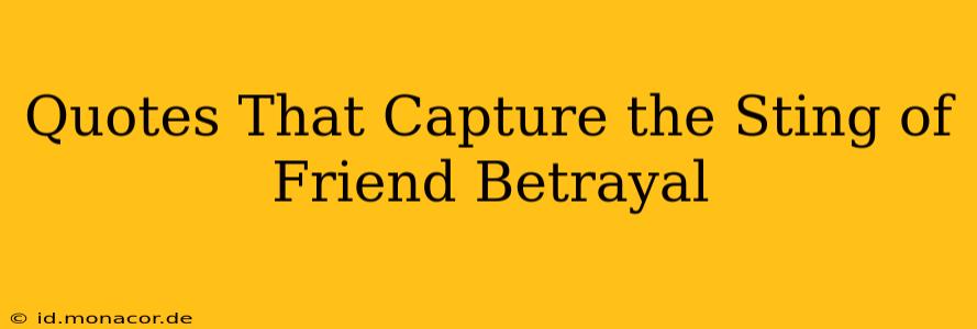 Quotes That Capture the Sting of Friend Betrayal