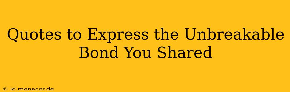 Quotes to Express the Unbreakable Bond You Shared