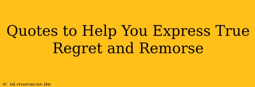 Quotes to Help You Express True Regret and Remorse