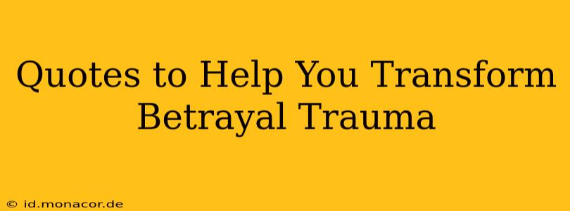 Quotes to Help You Transform Betrayal Trauma