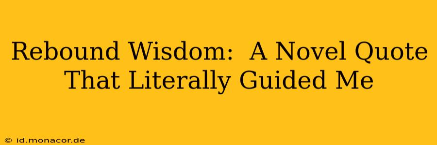 Rebound Wisdom:  A Novel Quote That Literally Guided Me