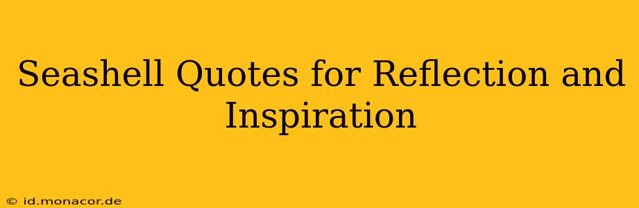 Seashell Quotes for Reflection and Inspiration