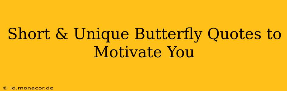 Short & Unique Butterfly Quotes to Motivate You