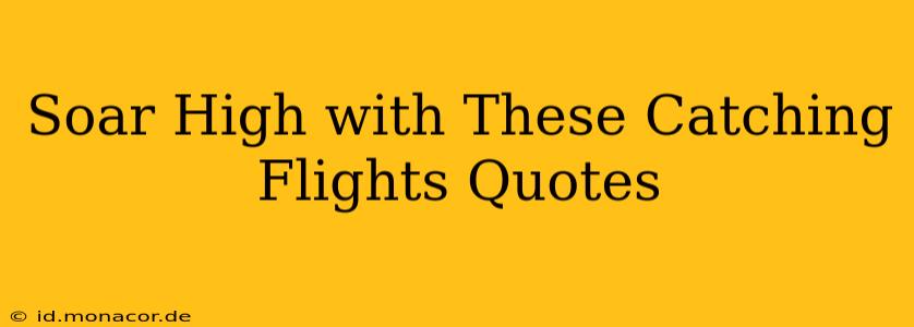 Soar High with These Catching Flights Quotes