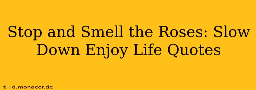 Stop and Smell the Roses: Slow Down Enjoy Life Quotes