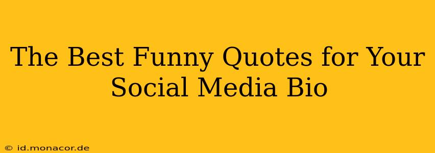 The Best Funny Quotes for Your Social Media Bio