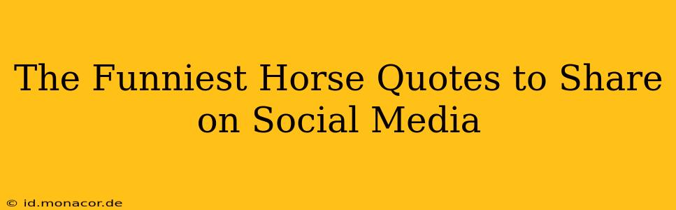 The Funniest Horse Quotes to Share on Social Media