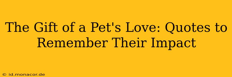 The Gift of a Pet's Love: Quotes to Remember Their Impact