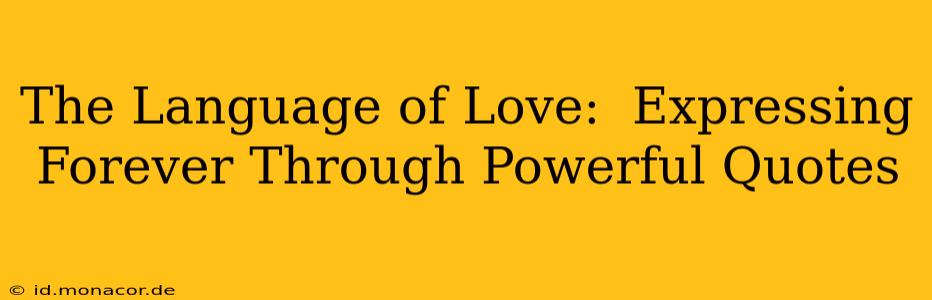 The Language of Love:  Expressing Forever Through Powerful Quotes