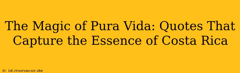 The Magic of Pura Vida: Quotes That Capture the Essence of Costa Rica