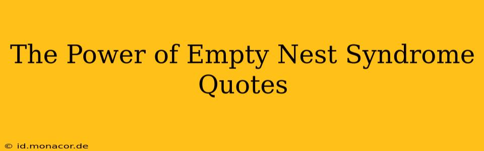 The Power of Empty Nest Syndrome Quotes