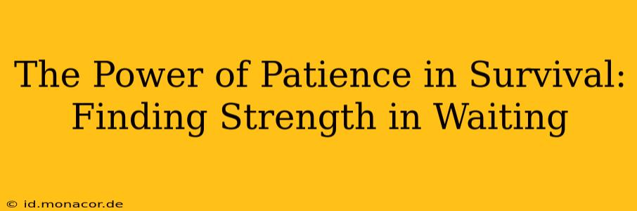 The Power of Patience in Survival: Finding Strength in Waiting