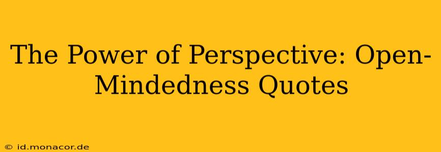 The Power of Perspective: Open-Mindedness Quotes