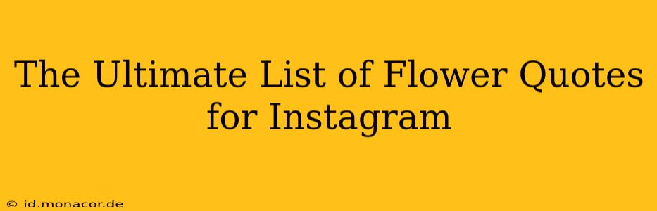 The Ultimate List of Flower Quotes for Instagram