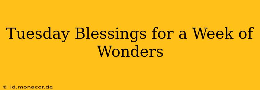Tuesday Blessings for a Week of Wonders