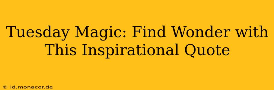 Tuesday Magic: Find Wonder with This Inspirational Quote