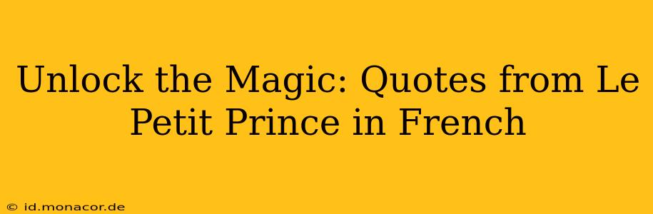 Unlock the Magic: Quotes from Le Petit Prince in French